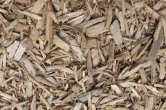 biomass boilers Rolvenden